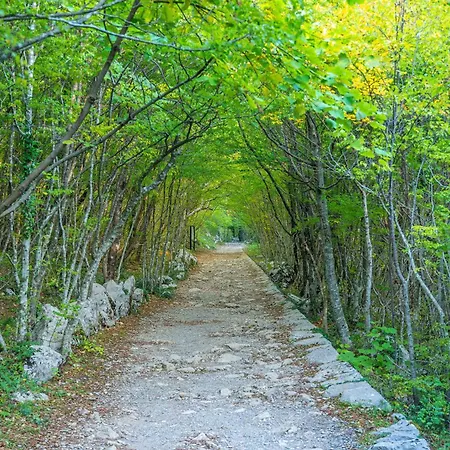 Affittacamere In Starigrad-paklenica 43596