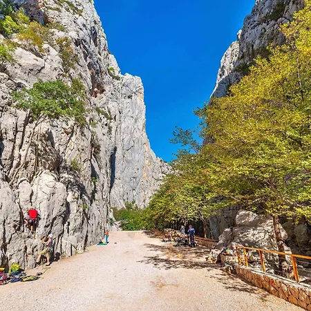 ゲストハウス In Starigrad-paklenica 43596