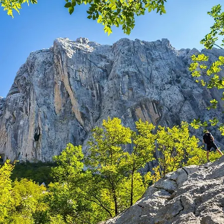 In Starigrad-paklenica 43596 ゲストハウス 4*